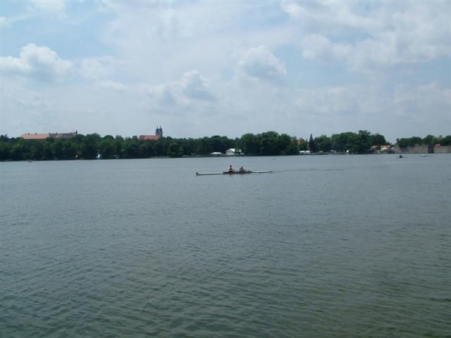 DSCF7350 (Medium)